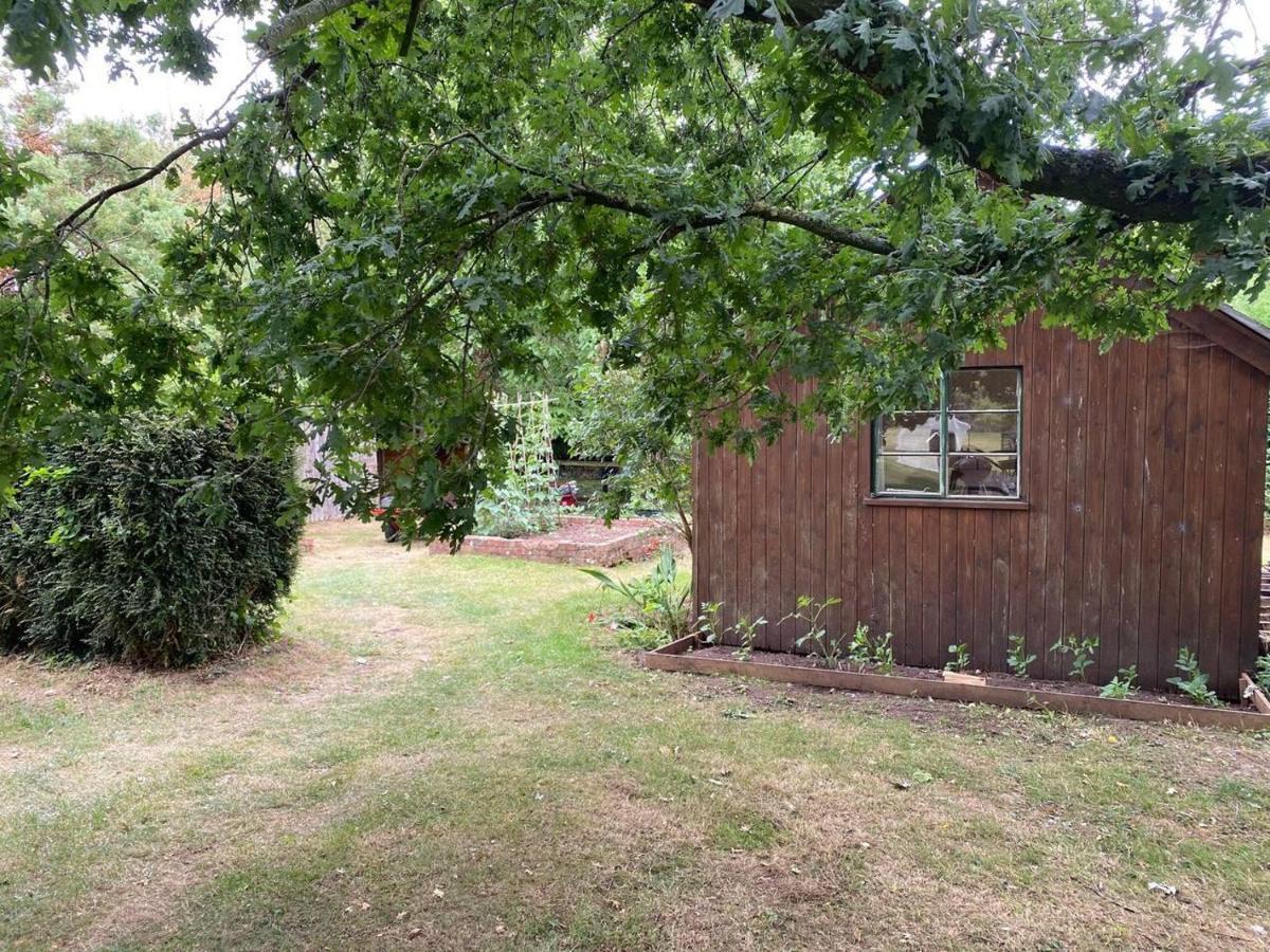 Orchard Cabin Herefordshire Wye Valley Ross-on-Wye المظهر الخارجي الصورة